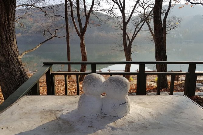Private Tour Nami Island with Petite France 'and/or' The Garden of Morning Calm - Timing, walking, and seasonal choices
