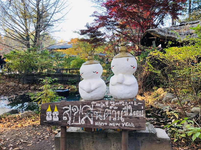 Seoul: Alpaca, Nami, Morning Calm or Eobi (+Rail Bike) - Garden of Morning Calm and the winter light show