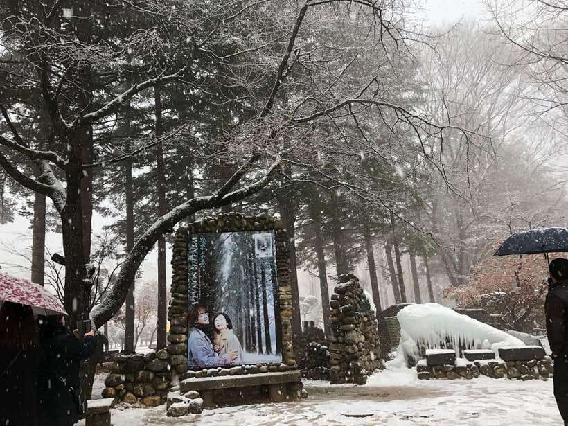 Seoul: Alpaca, Nami, Morning Calm or Eobi (+Rail Bike) - The long van rides and daily rhythm