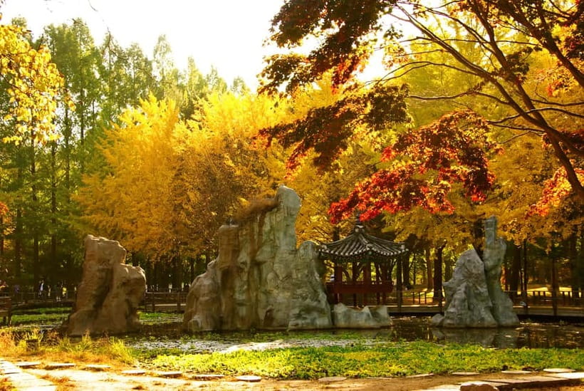 Seoul: Alpaca World and Nami Island (with Garden / Railbike) - How the timing affects your enjoyment