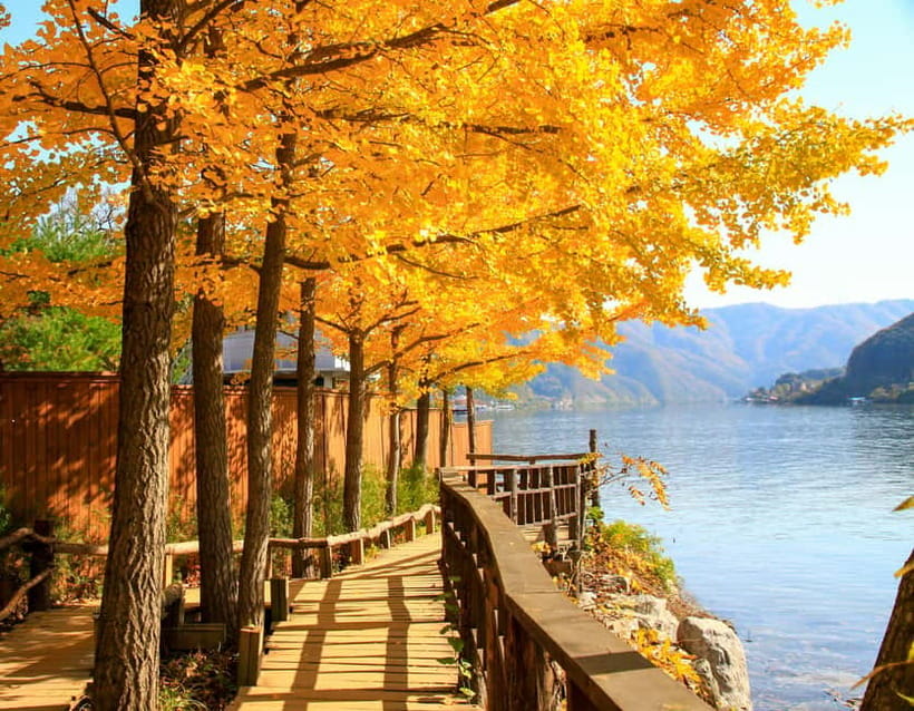 Seoul: Alpaca World and Nami Island (with Garden / Railbike) - Should you book this day from Seoul?