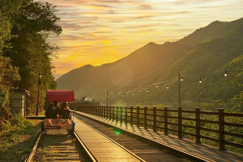 Seoul: Alpaca World & Nami Island optional Gangchon Railbike - Key points to know before booking