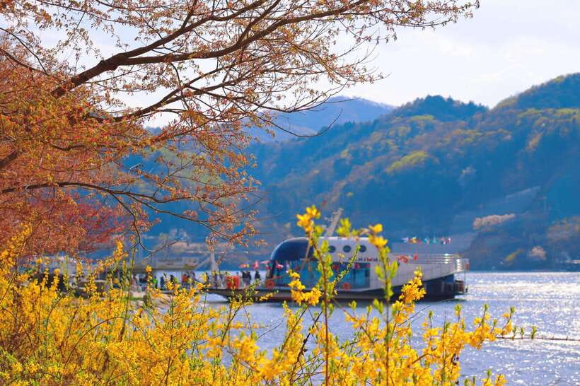 Seoul: Alpaca World & Nami Island optional Gangchon Railbike - Why this day trip works from Seoul