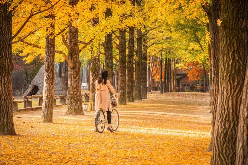 Seoul: Alpaca World & Nami Island optional Gangchon Railbike - Transport, timing, and comfort