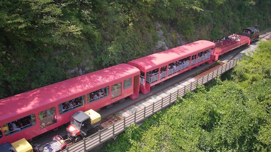 Seoul: Alpaca World & Nami Island optional Gangchon Railbike - Who will enjoy this most