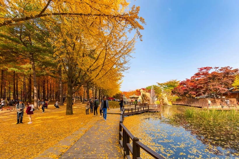 Seoul: Alpaca World & Nami Island optional Gangchon Railbike - Booking choice: railbike or no railbike