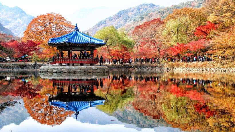 Seoul: Autumn Foliage - Mt. Naejang + Jeonju Hanok Village - Key points to know before booking