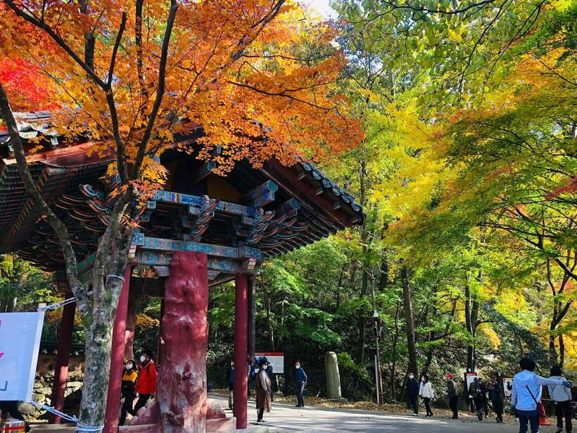 Seoul: Autumn Foliage - Mt. Naejang + Jeonju Hanok Village - Why Naejangsan works for a late-autumn day trip