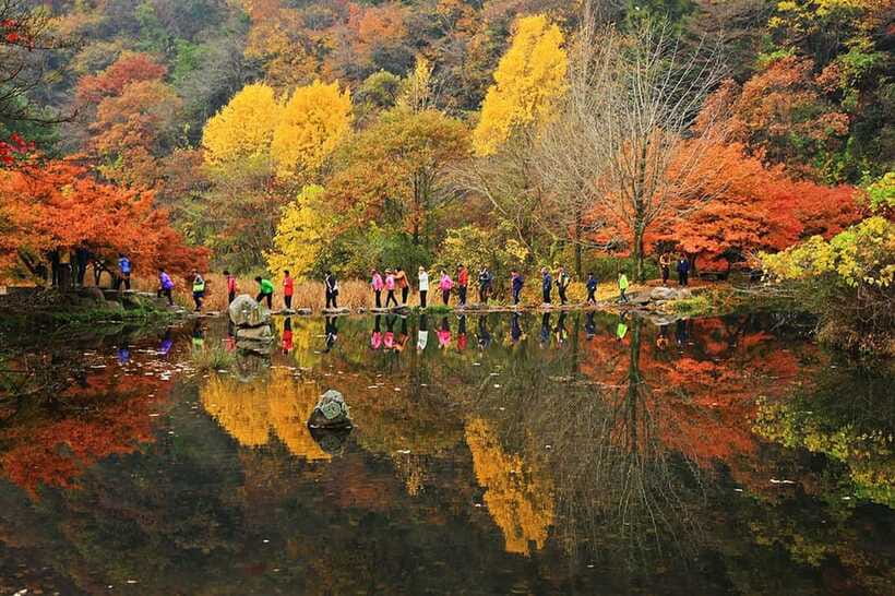 Seoul: Autumn Foliage - Mt. Naejang + Jeonju Hanok Village - Who will enjoy this day most