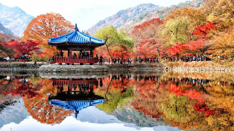 Seoul: Autumn Foliage - Mt. Naejang + Jeonju Hanok Village - Should you book the Naejangsan and Jeonju day trip?