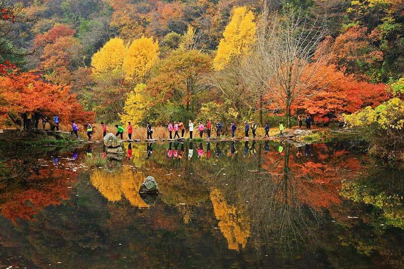Seoul: Autumn Foliage - Mt. Naejang + Jeonju Hanok Village - The long ride from Seoul