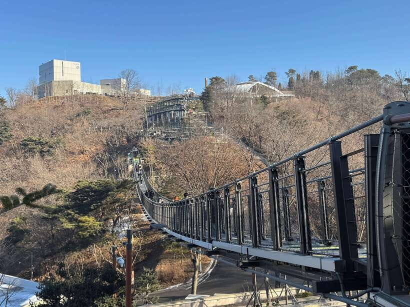 Seoul: Closest DMZ Observatory with North Korea View (1.4km) - Why this viewpoint is different from a standard DMZ tour