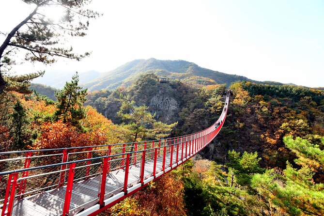 Seoul DMZ Tour with 3rd Tunnel and Red Suspension Bridge - Why this DMZ day trip is worth your time