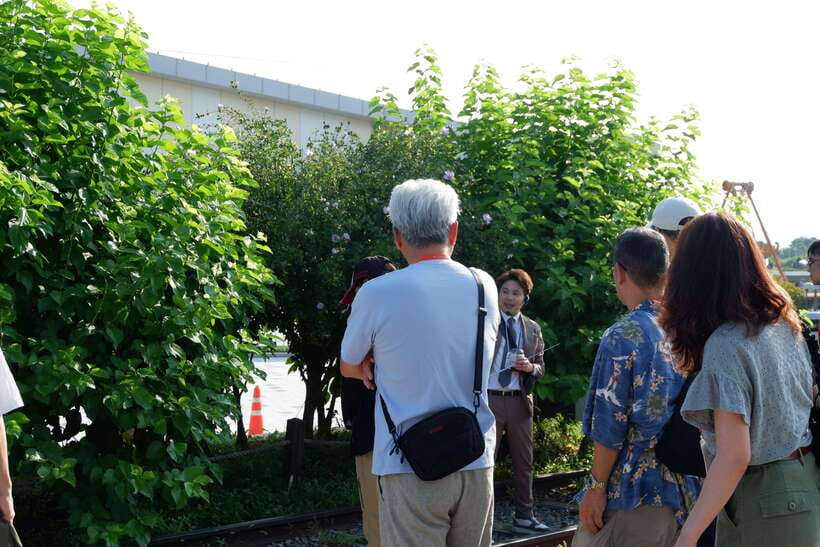 Seoul: DMZ Tour with Japanese-Speaking Guide - What $50 gets you