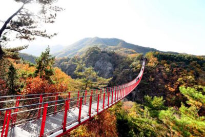DMZ Tour with Optional Suspension Bridge