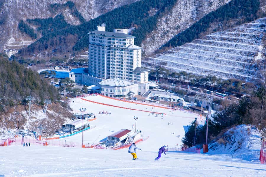 Seoul: Elysian Gangchon Winter Ski Resort Fun Day Tour - Guides, language help, and group support