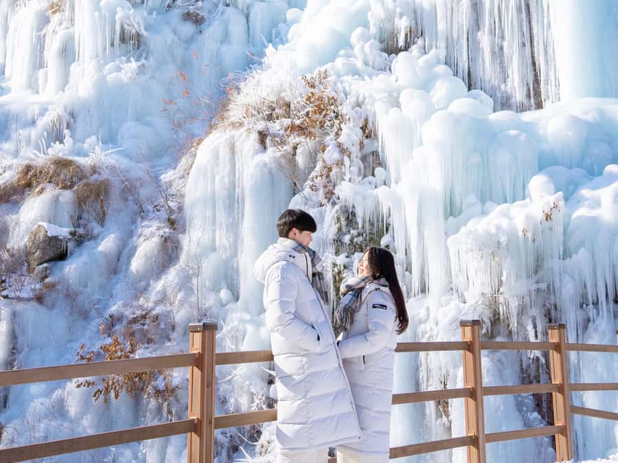 Seoul: Elysian Gangchon Winter Ski Resort Fun Day Tour - Is the $15 price good value?