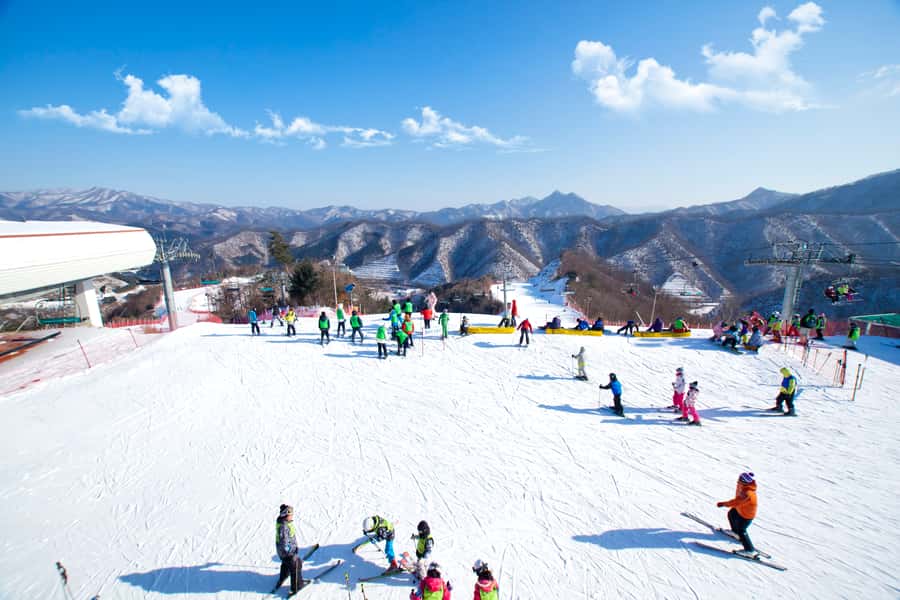 Seoul: Elysian Gangchon Winter Ski Resort Fun Day Tour - Who should book this winter outing?