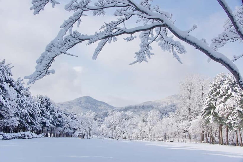 Seoul: Elysian Gangchon Winter Ski with Nami Island Day Tour - Key points to know before booking