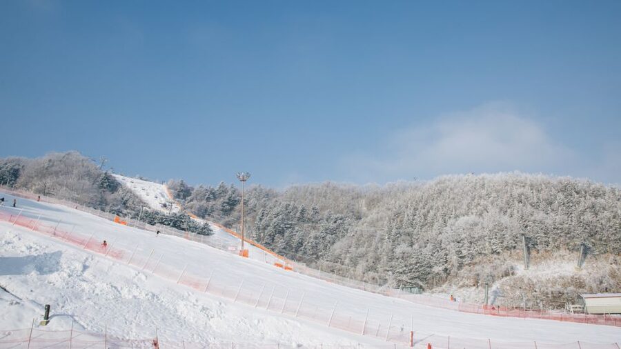 Seoul: Elysian Gangchon Winter Ski with Nami Island Day Tour - Who should book this day trip?