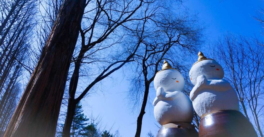 Seoul: Elysian Gangchon Winter Ski with Nami Island Day Tour - Why this Seoul winter trip works so well