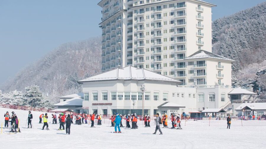 Seoul: Elysian Gangchon Winter Ski with Nami Island Day Tour - Three and a half hours on snowy Nami Island
