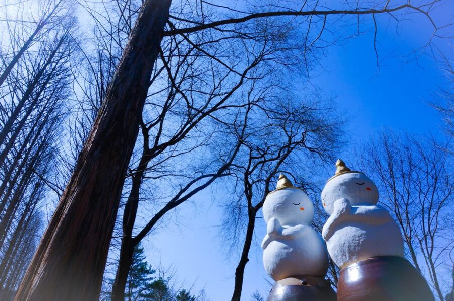 Seoul: Elysian Gangchon Winter Ski with Nami Island Day Tour - Choosing the right package