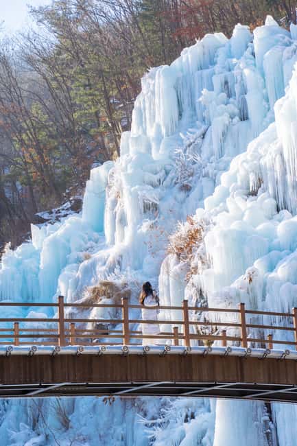 Seoul: Eobi Ice Valley, Alpaca World, Nami Island and More - Key points to know before booking