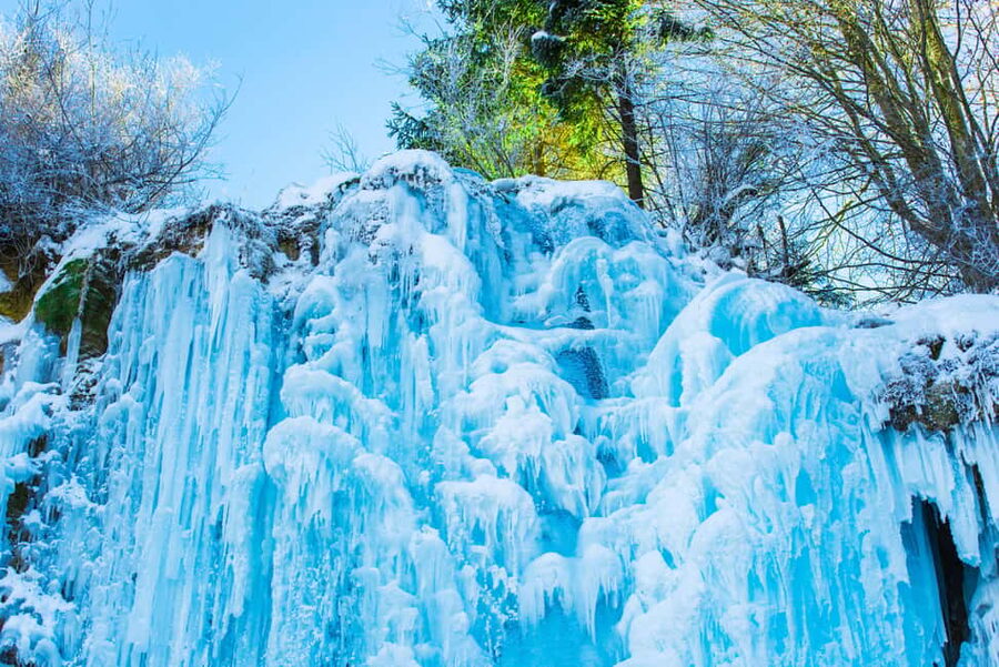 Seoul: Eobi Ice Valley, Alpaca World, Nami Island and More - Who should book this experience?