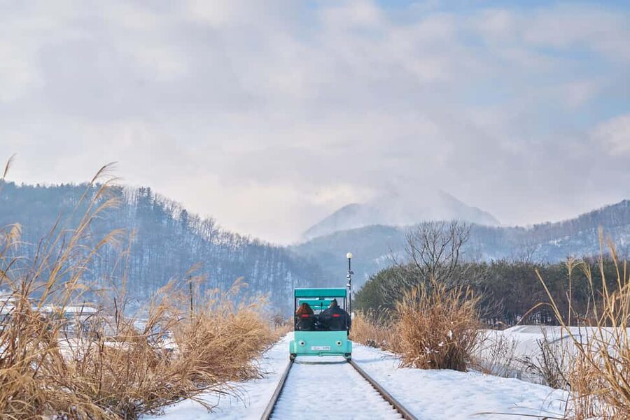 Seoul: Eobi Ice Valley, Alpaca World, Nami Island and More - Eobi Ice Valley and its winter icicles