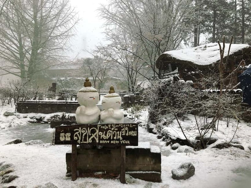 Seoul: Eobi+Nami+Hanbok(+RailBike or Strawberry Options)Tour - Nami Island, ferry ride included