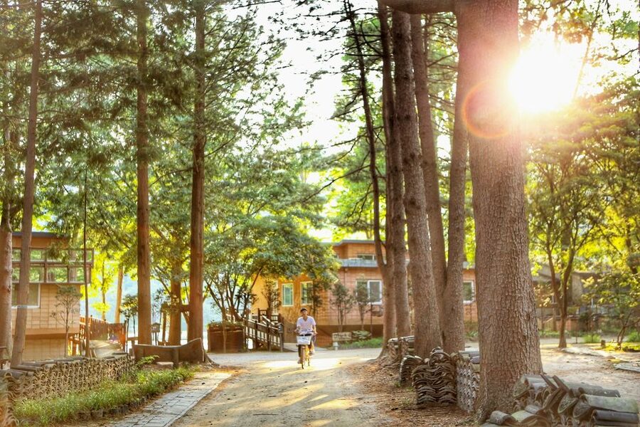 Seoul: Eobi Valley(Winter), Strawberry, Nami Island and Bike - Why this Seoul day trip works