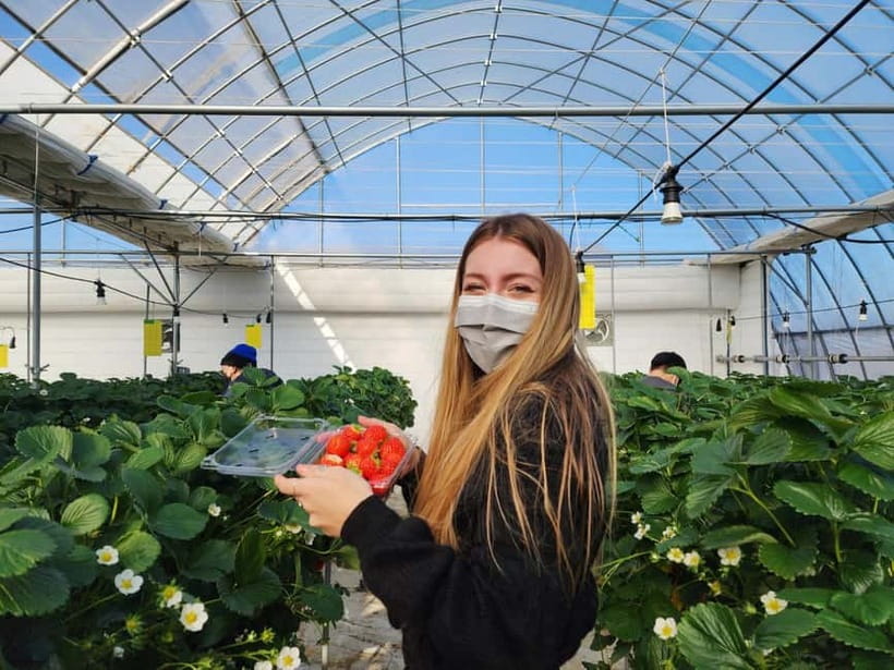 Seoul: Eobi Valley(Winter), Strawberry, Nami Island and Bike - Pedaling the Gangchon Railbike