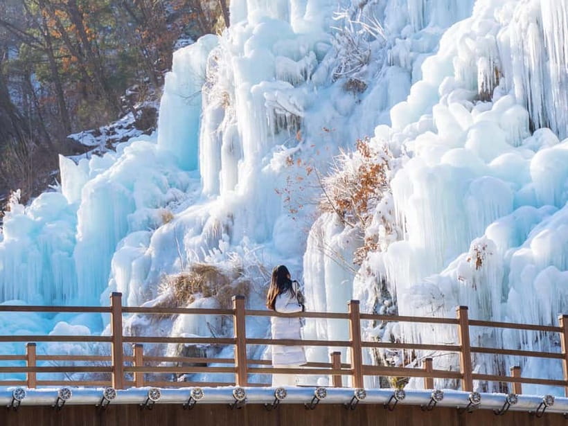 Seoul: Eobi Valley(Winter), Strawberry, Nami Island and Bike - Is $88 a fair price?