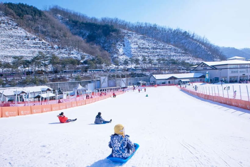 Seoul: Full-Day Winter Trip Ski Resort, Ice Valley, Namiseom - Picking the right Elysian option