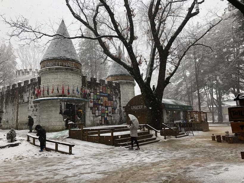 Seoul: Full-Day Winter Trip Ski Resort, Ice Valley, Namiseom - Nami Island: the calm middle of the day