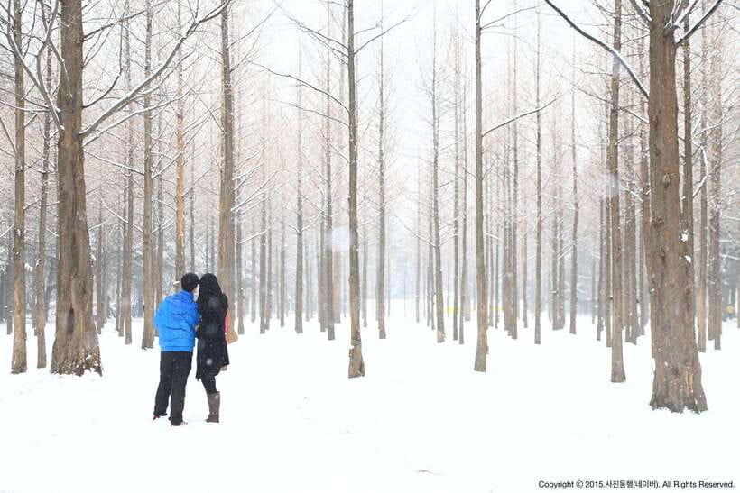 Seoul: Full-Day Winter Trip Ski Resort, Ice Valley, Namiseom - How the transport affects the day