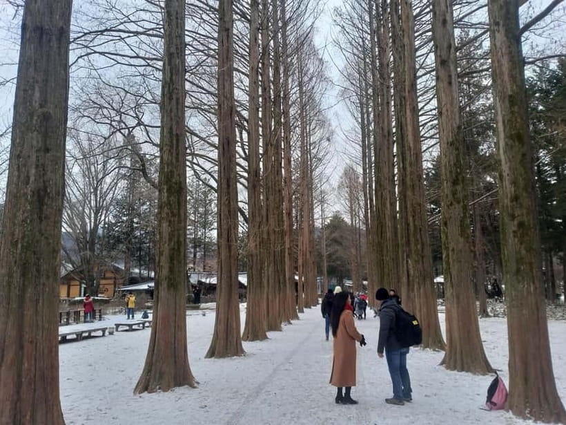 Seoul: Full-Day Winter Trip Ski Resort, Ice Valley, Namiseom - Who should book this winter outing?