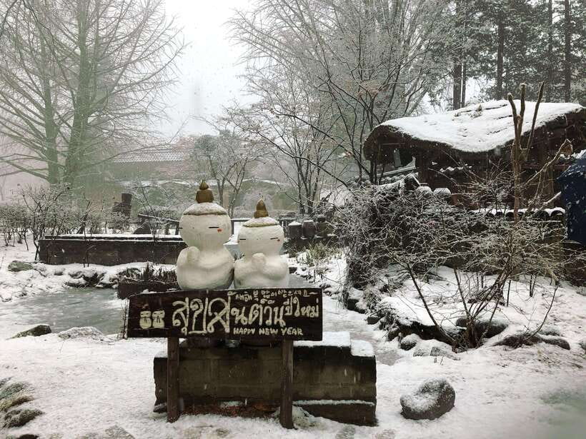 Seoul: Full-Day Winter Trip Ski Resort, Ice Valley, Namiseom - Elysian Gangchon: a forgiving place to try skiing