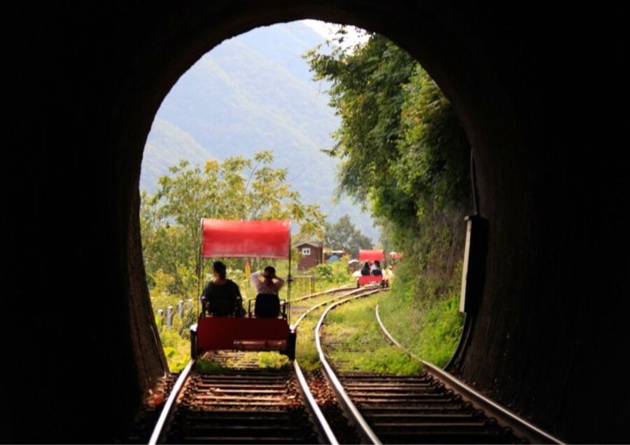 Seoul: Gangwon-do Day Trip with Alpaca World & Nami Island - Choosing Gangchon Rail Park