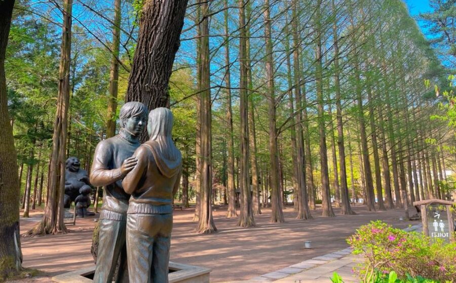 Seoul: Gangwon-do Day Trip with Alpaca World & Nami Island - Long coach rides and the real daily rhythm