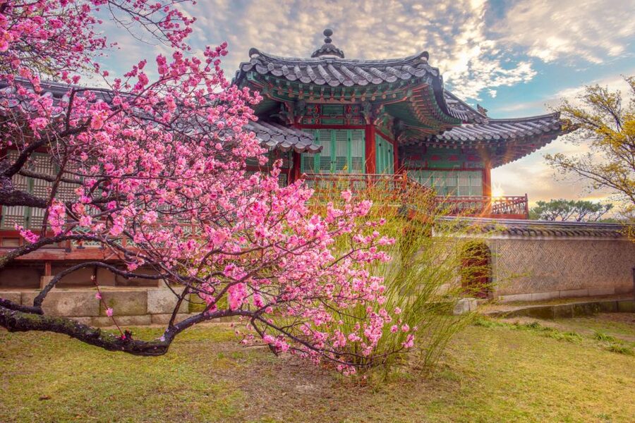 Seoul: Gyeongbok Palace and Bukchon Hanok Walking Tour - Gyeongbokgung Palace and the guard ceremony
