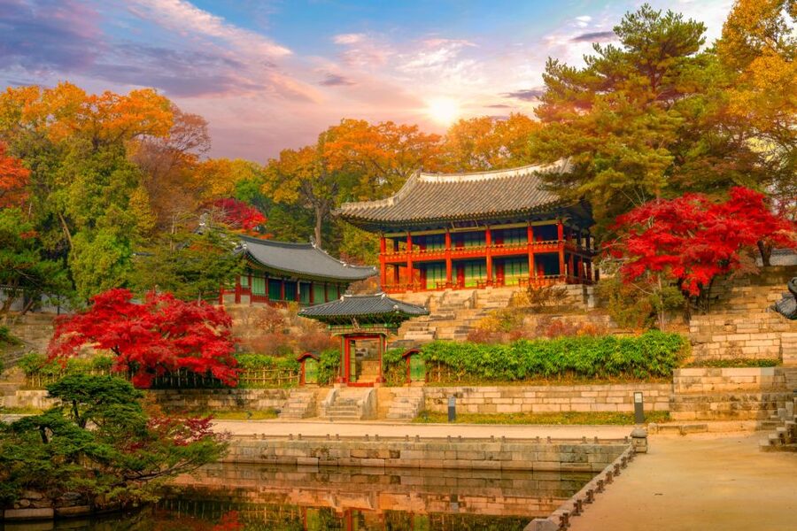 Seoul: Gyeongbok Palace and Bukchon Hanok Walking Tour - Is $88 good value for three hours?