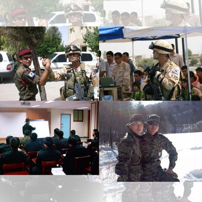 Seoul: Half-Day DMZ Tour Led by a Retired Military Officer - Key points to know before you book