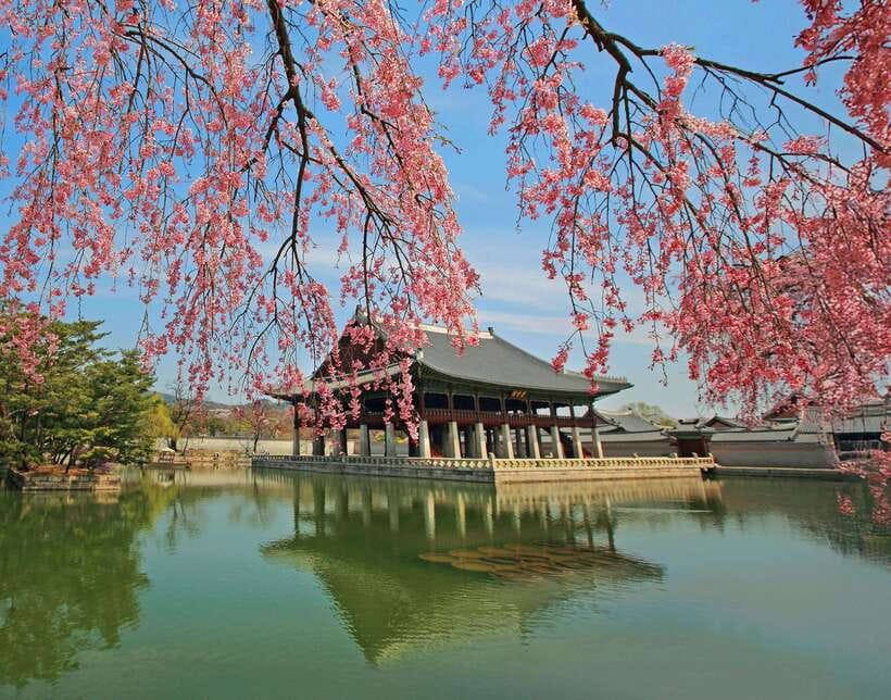 Seoul Highlights: Gyeongbok Palace, Insadong & N Seoul Tower - Gyeongbokgung and the royal guard ceremony