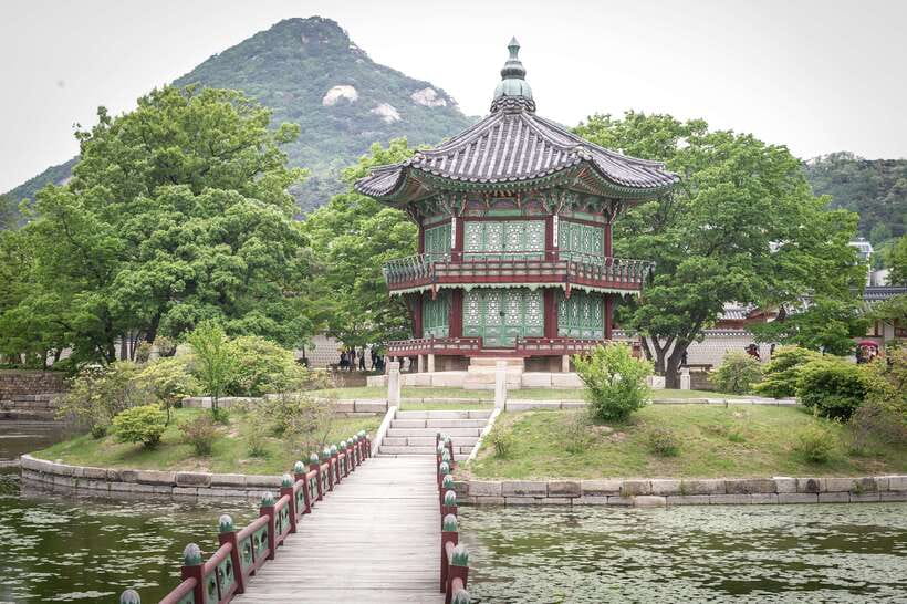 Seoul Highlights: Gyeongbok Palace, Insadong & N Seoul Tower - The ginseng museum and shop stop