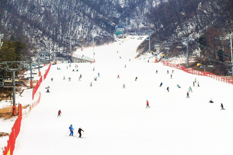 Seoul: Jisan Forest Winter Ski Day Tour with Basic Lesson - Key points to know before booking