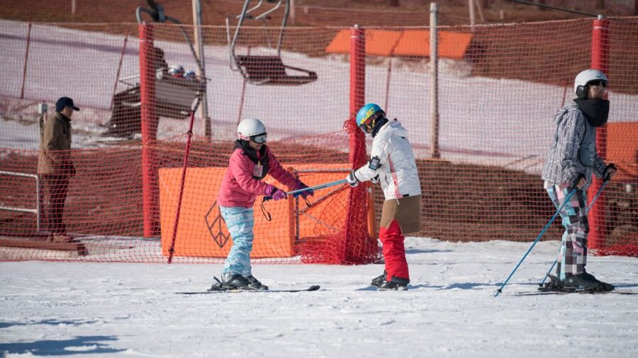 Seoul: Jisan Forest Winter Ski Day Tour with Basic Lesson - From Seoul to Jisan Forest by morning coach