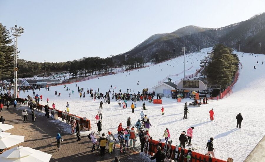 Seoul: Jisan Forest Winter Ski Day Tour with Basic Lesson - Guide support and group size