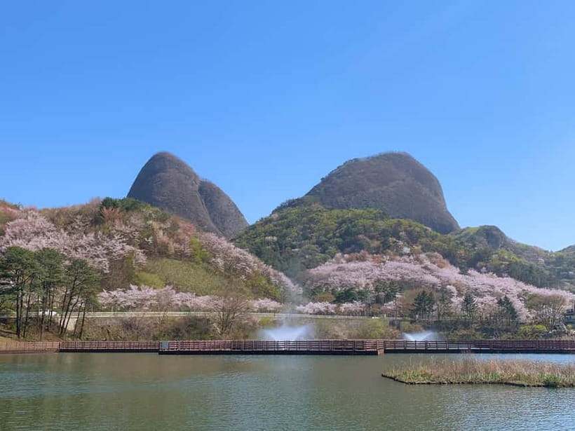 Seoul: Maisan Cherry Blossom and Jeonju Hanok Day Tour - Walking the 3-Kilometer Cherry Blossom Tunnel